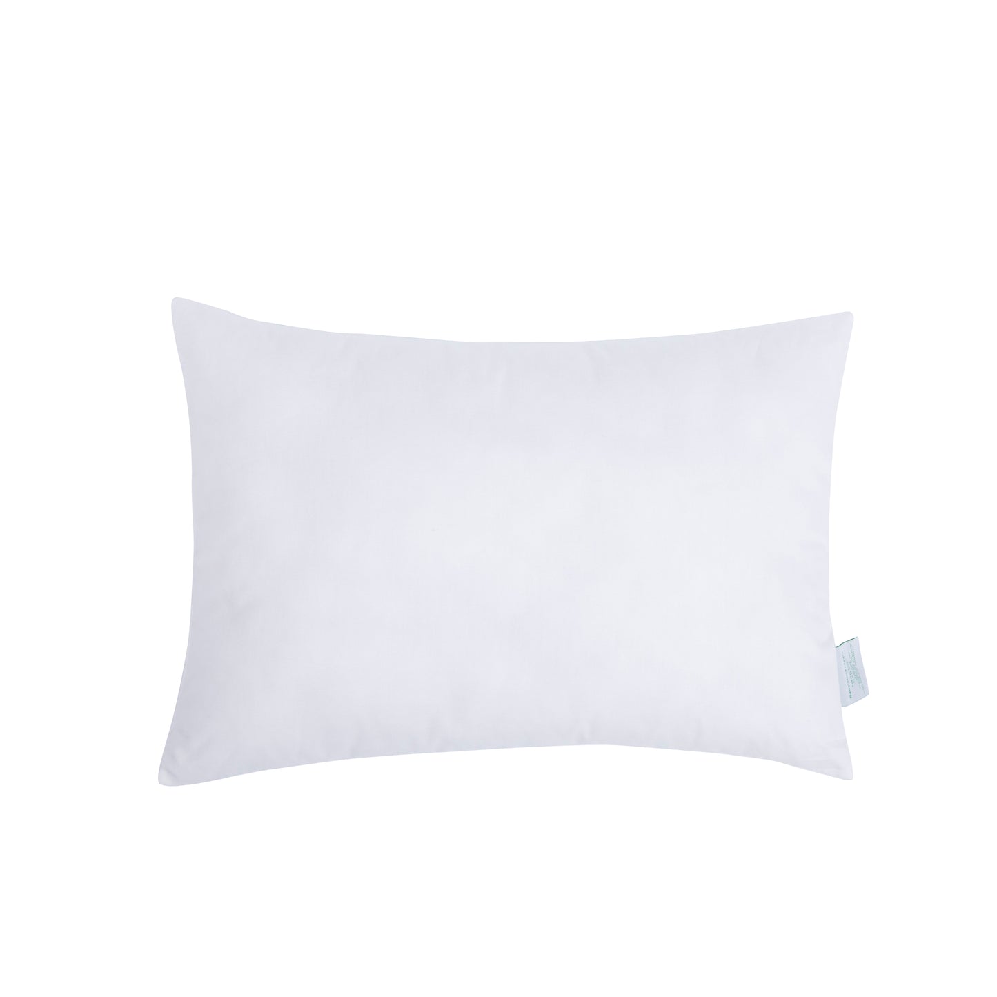 Toddler Pillow - Dino Light Magic